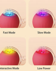 Dog Ball Toy Electric Fun Ball Toy for Cats Dogs