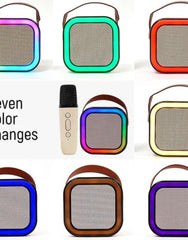 Portable Bluetooth Speaker with Wireless Microphone